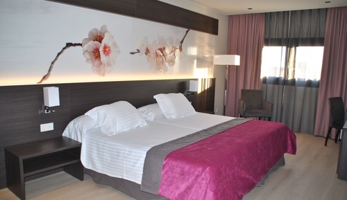 Standard Double Room Single Use