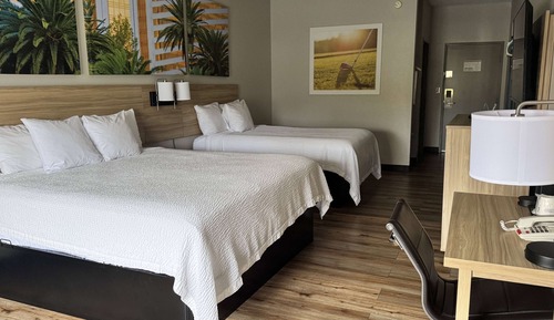 Studio Suite, Multiple Beds, Non Smoking