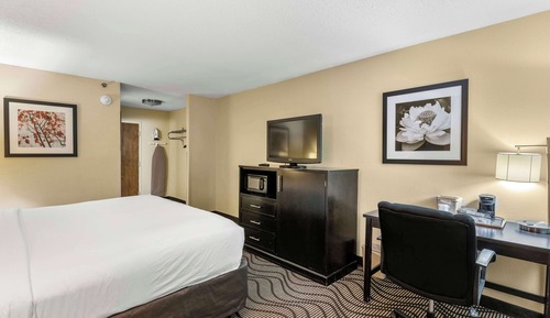 Room, 1 King Bed