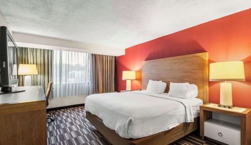 Room, 1 King Bed, Roll-in Shower