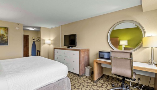 Room, 1 King Bed