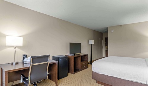 Room, 1 King Bed