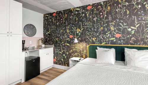 Room, 1 King Bed