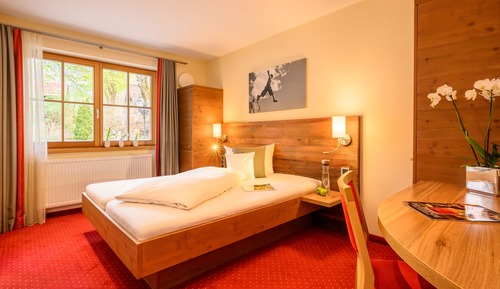 Basic Double Room