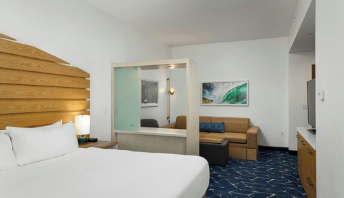 Studio Suite, 1 King Bed with Sofa bed