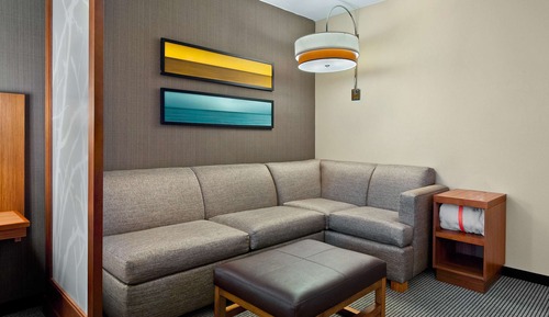 Suite, 1 King Bed with Sofa bed, Accessible (One Bedroom, Roll-in Shower)