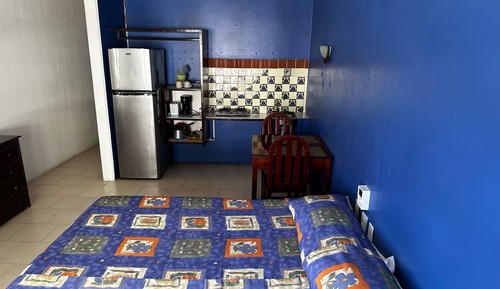 Junior Room, 1 King Bed