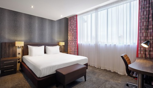 Suite, 1 Bedroom