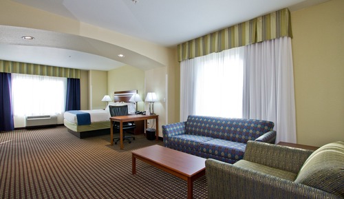 Suite, 1 King Bed with Sofa bed