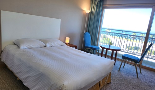Deluxe Double Ocean (Max 2 people) (No pets allowed)