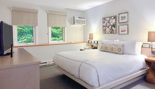 Room, 1 King Bed