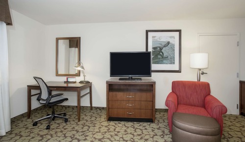 Room, 1 King Bed, Accessible