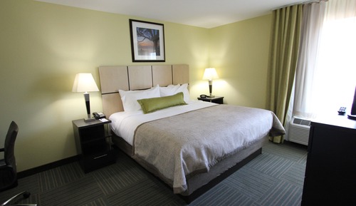 Studio Suite, 1 Queen Bed, Accessible (Communication Accessible)