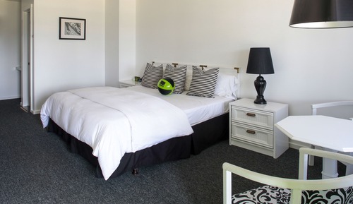 Room, 1 King Bed