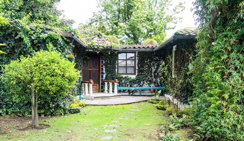 Design Cabin