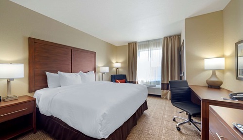 Standard Room, 1 King Bed, Non Smoking