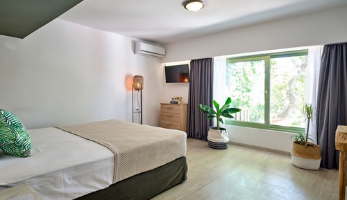 Standard Suite