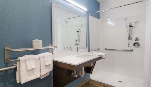 Room, 1 Queen Bed, Accessible, Non Smoking (Roll-In Shower)