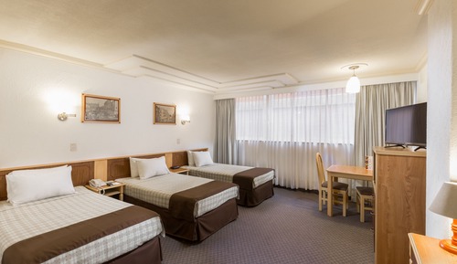 Basic Triple Room