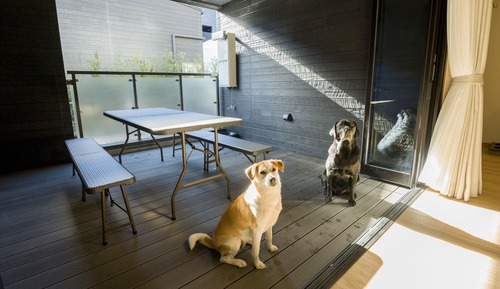 [Dog-friendly] Room for 8 People, Non Smoking