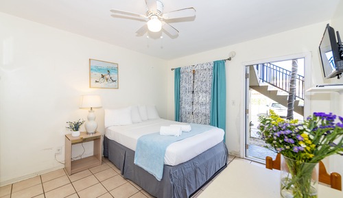 Superior Studio, 1 Queen Bed, Partial Ocean View