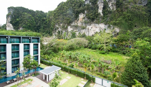 Deluxe Mountain View Room