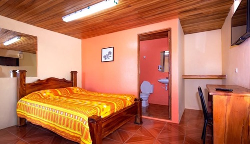 Basic Double Room