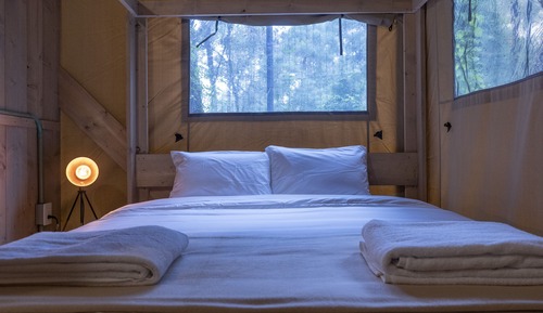 Comfort Cabin (Piñón)