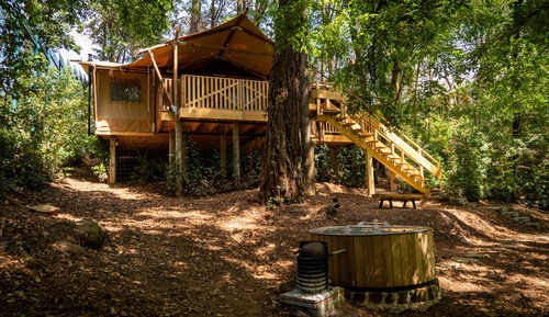 Comfort Cabin (Castaña)