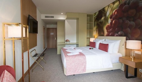 Superior Room, Balcony