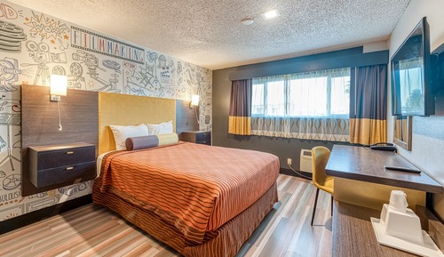 Classic Single Room, 1 Queen Bed, Accessible