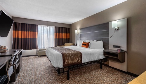 Standard Single Room, 1 King Bed, Non Smoking