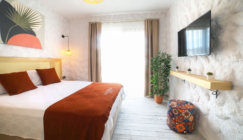 Standard Double Room, Mountain View