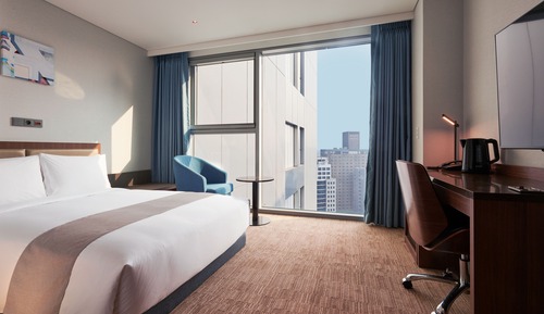 Double Room, Wheelchair-accessible