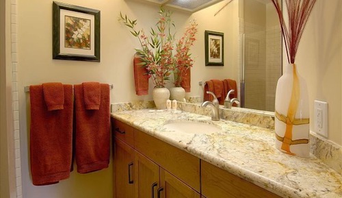 Condo (1 Bedroom)