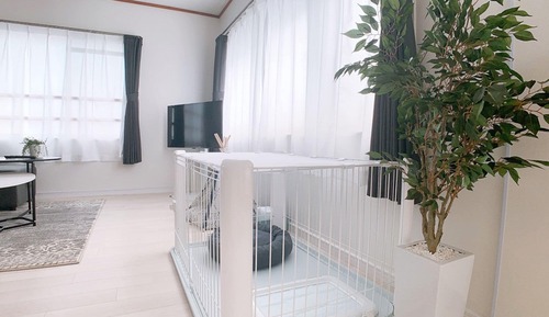 Family Room, Non Smoking (501)