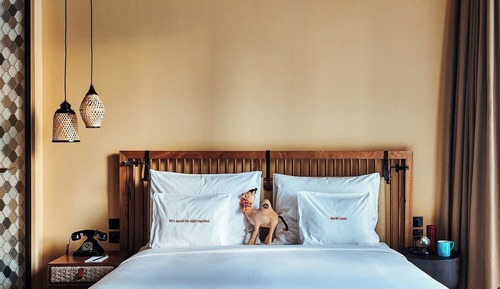 Medium Bedouin Room (Free Shuttle Service to DIFC, Kite Beach, and Dubai Mall)