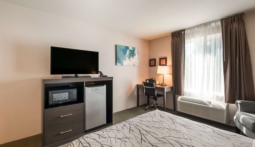Standard Room, 1 Queen Bed, Accessible, Refrigerator & Microwave