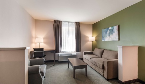 Standard Room, 1 King Bed, Non Smoking, Refrigerator & Microwave (Larger Room;with Sofabed)