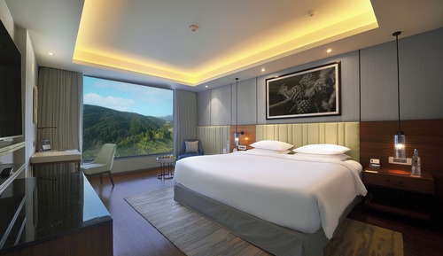 Deluxe Suite, 1 King Bed