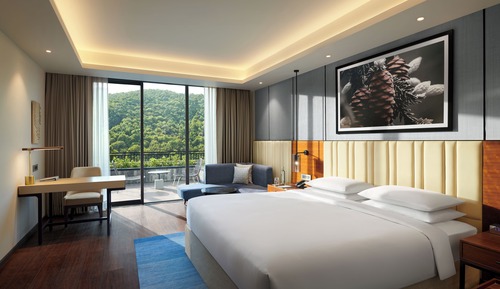 Room, 1 King Bed