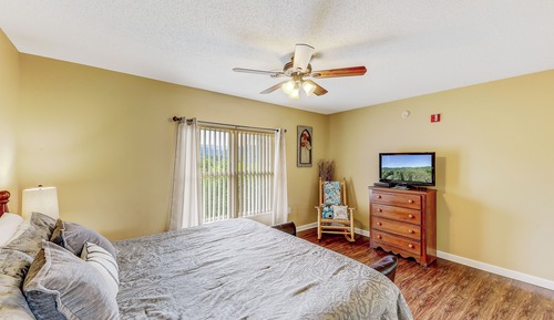 Condo (LeConte View R - No Pets Allowed)