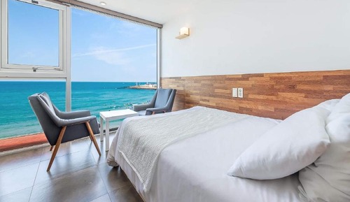 Basic Room, 1 Bedroom (301(oceanview))