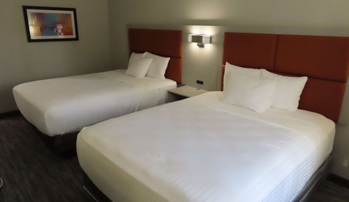 Standard Room, 2 Queen Beds, Non Smoking, Refrigerator & Microwave