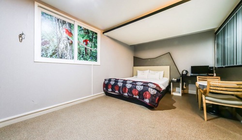 Room (Semi-special room (styler available))