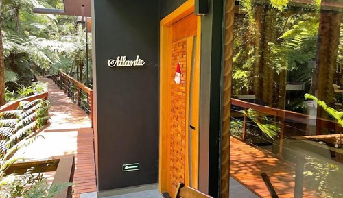 Premium Cabin