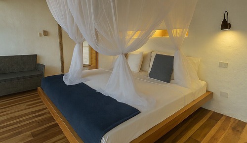 Junior Suite, Mountain View