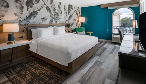 Room, 1 King Bed