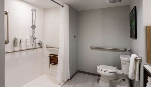 Room, 1 King Bed, Accessible (Roll-In Shower)