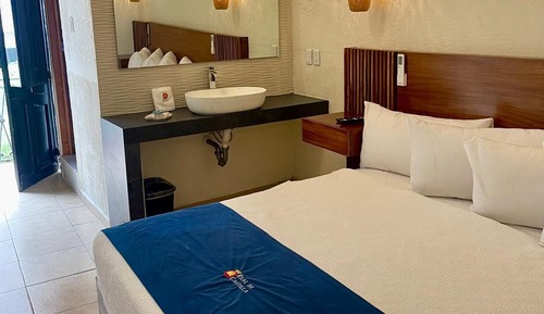 Room, 1 King Bed